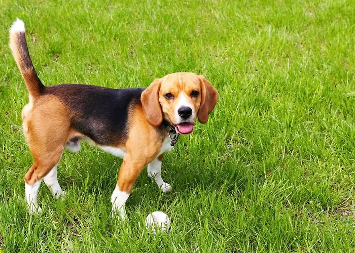 Best Hotels in Ashland, Ohio